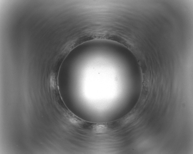 X0000065950287200603101404