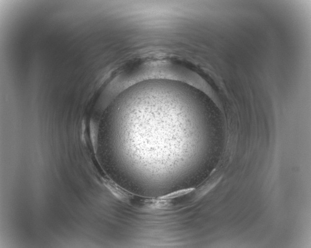 X0000065950288200603101404