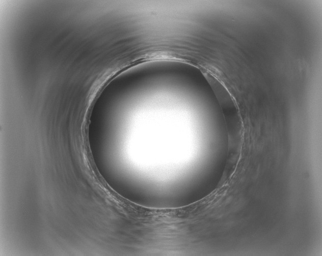 X0000065950289200603101403