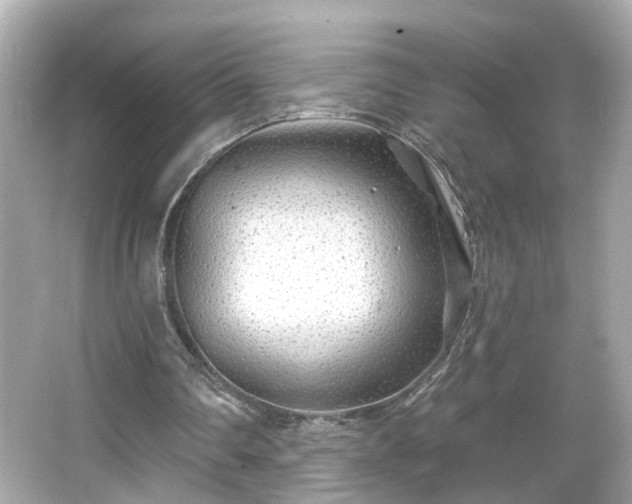 X0000065950290200603101403