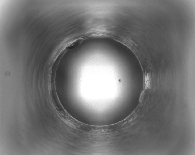 X0000065950291200603101403