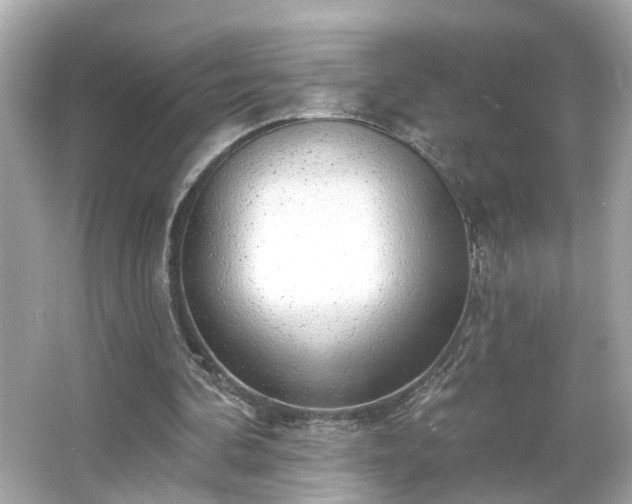X0000065950292200603101403