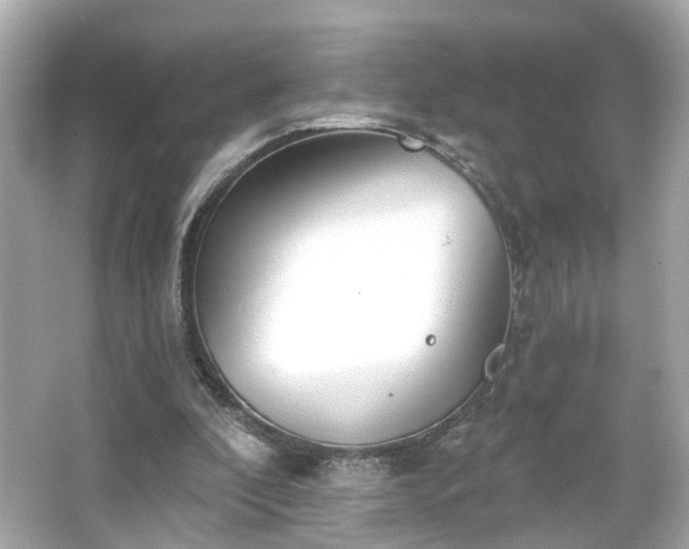 X0000065950296200603101403