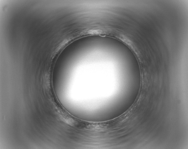 X0000065950297200603101403