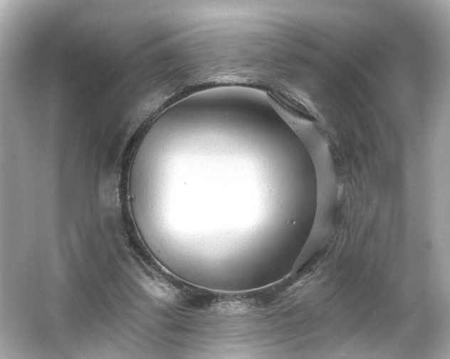 X0000065950299200603101403