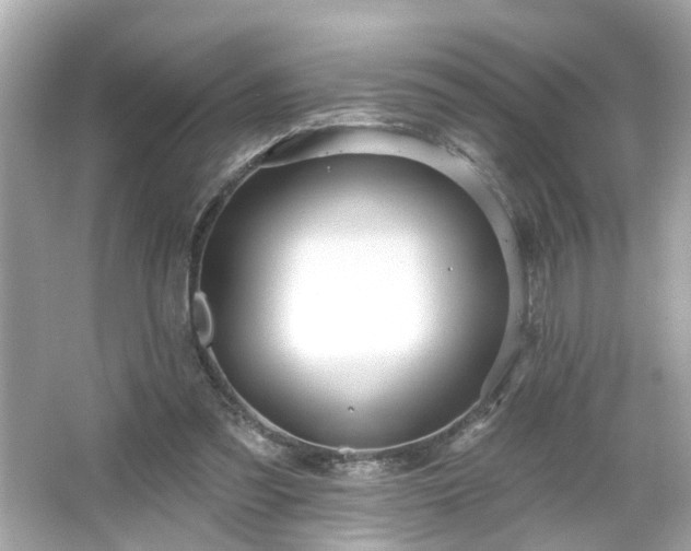 X0000065950301200603101403
