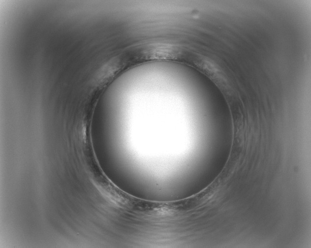 X0000065950310200603101403