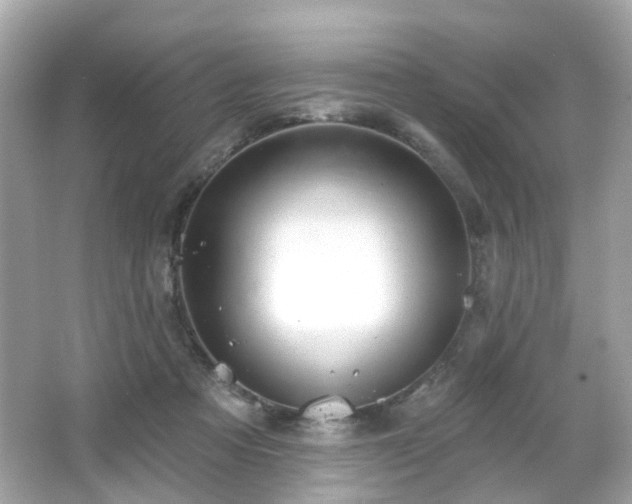 X0000065950313200603101403