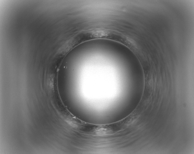 X0000065950315200603101403