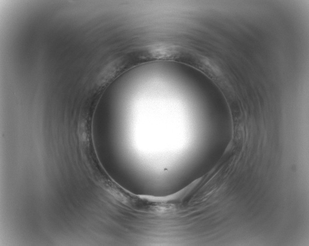 X0000065950317200603101403