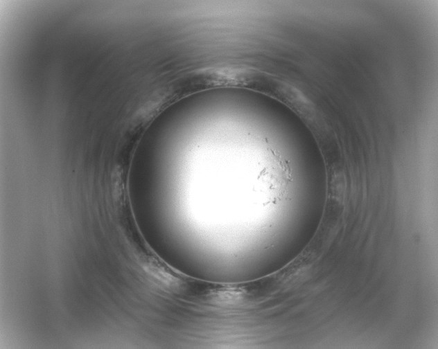 X0000065950318200603101403