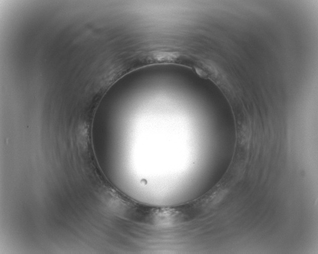 X0000065950321200603101403