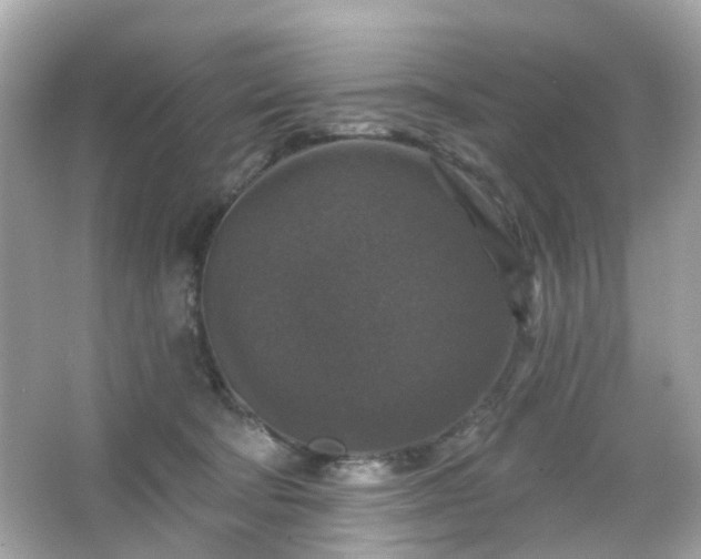 X0000065950322200603101403