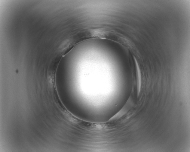 X0000065950329200603101403