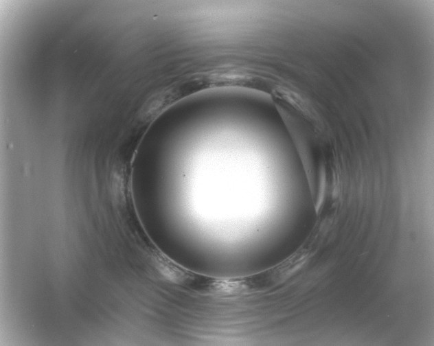 X0000065950333200603101402