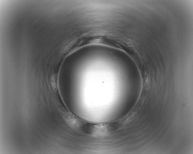 X0000065950335200603101402