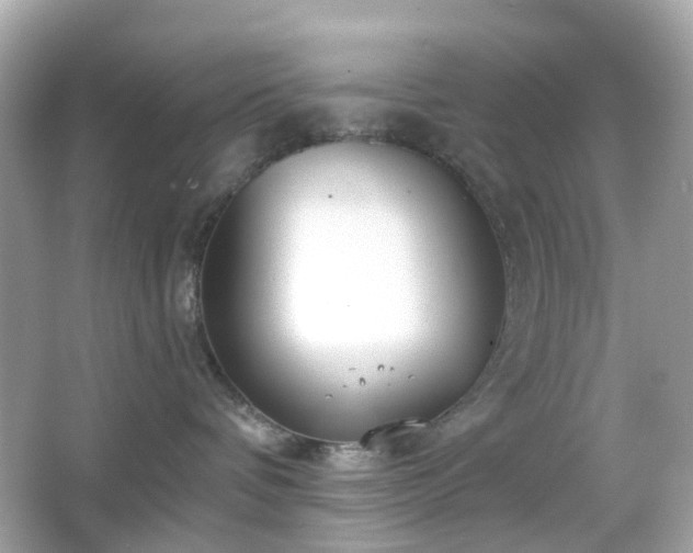 X0000065950336200603101402