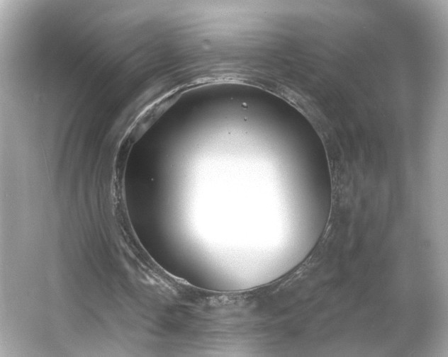 X0000065950338200603101402
