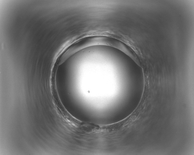 X0000065950340200603101402