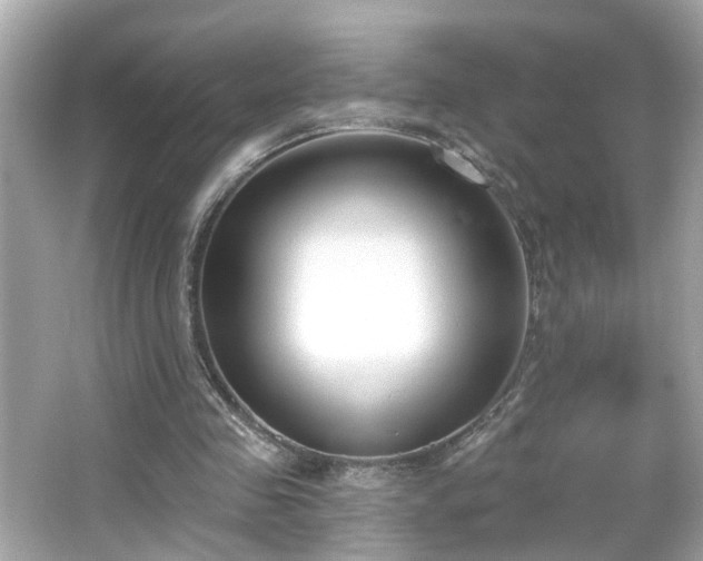 X0000065950341200603101402
