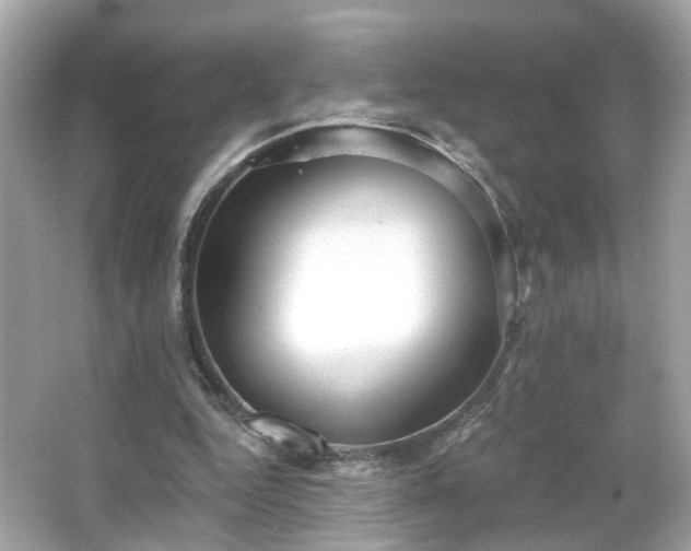 X0000065950344200603101402