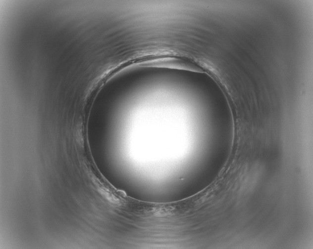 X0000065950345200603101402