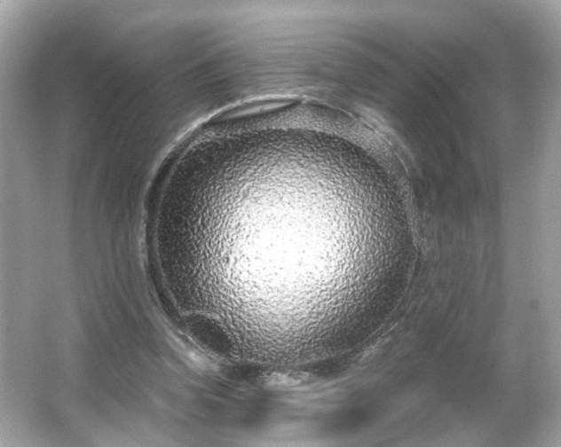 X0000065950346200603101402