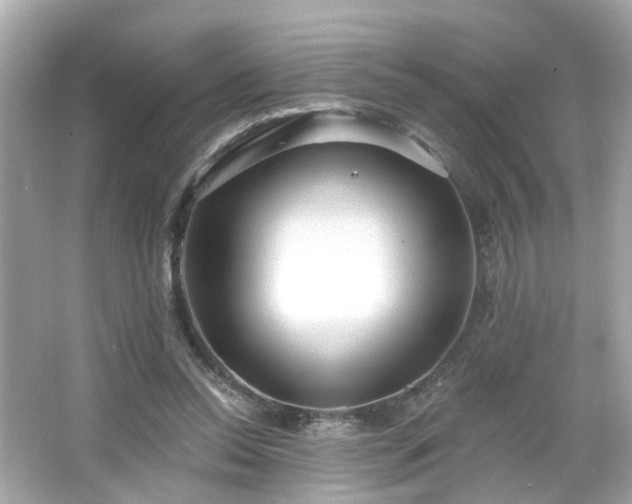 X0000065950350200603101402