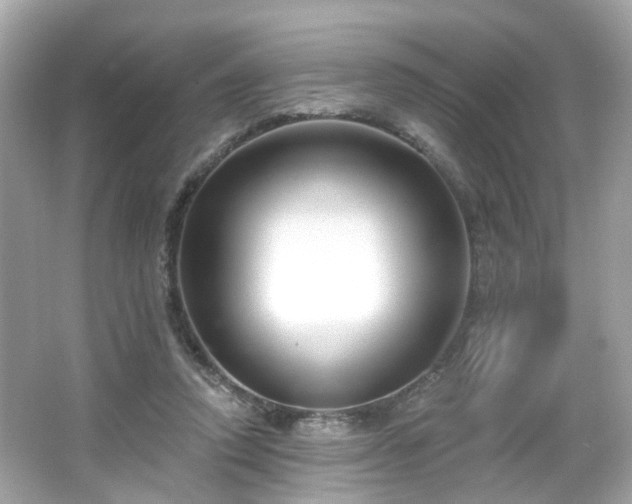 X0000065950354200603101402