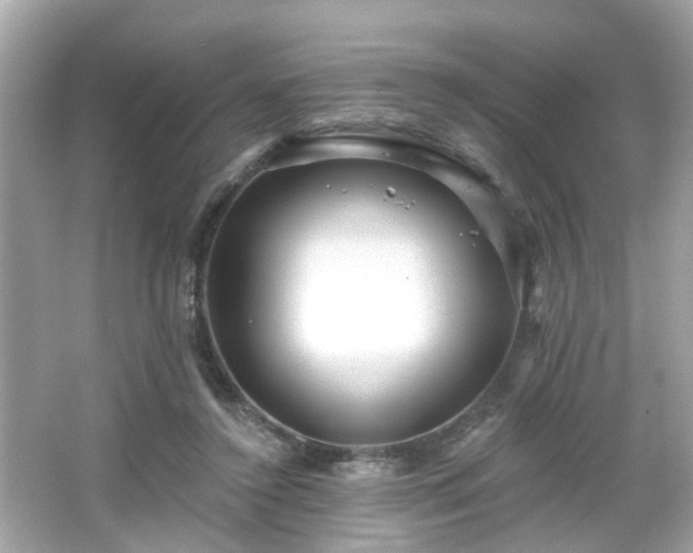 X0000065950356200603101402