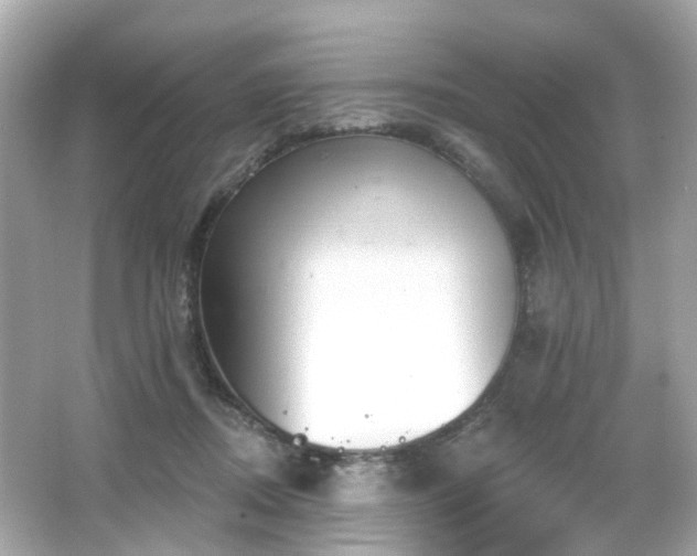 X0000065950362200603101402