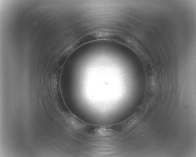 X0000065950372200603101402