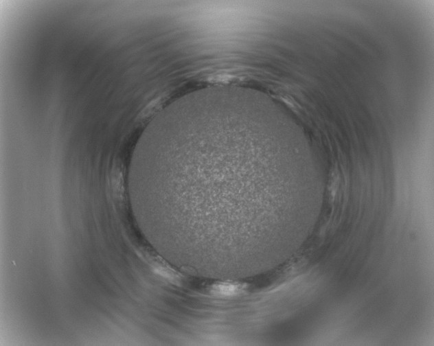 X0000065950375200603101402