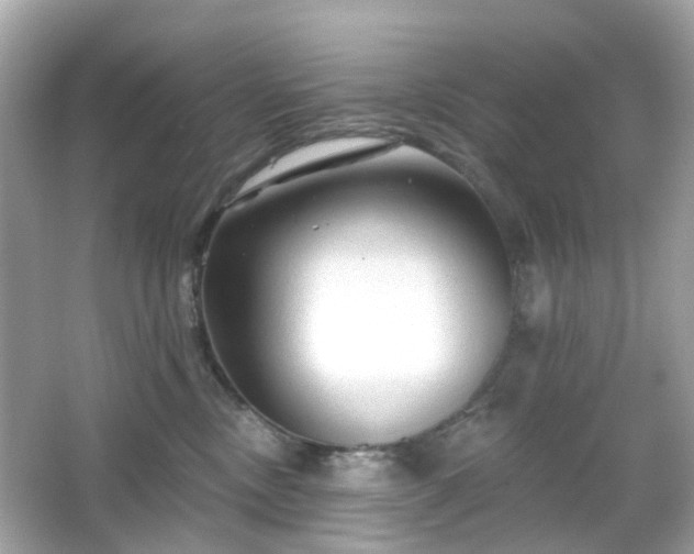 X0000065950378200603101402