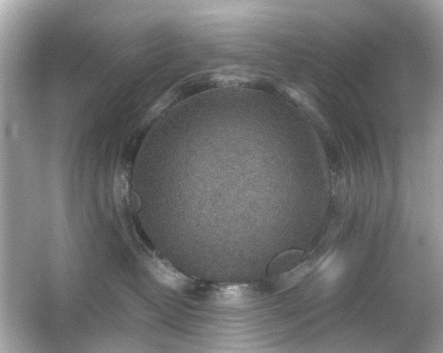 X0000065950382200603101402