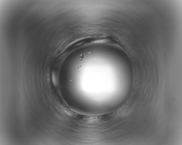 X0000065950384200603101402