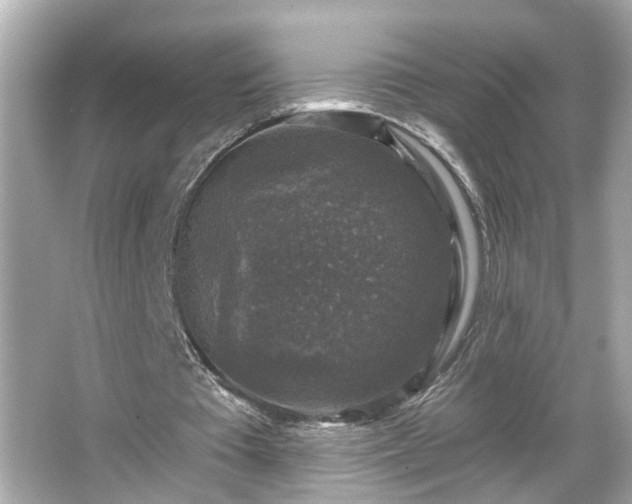 X0000065950385200603101402