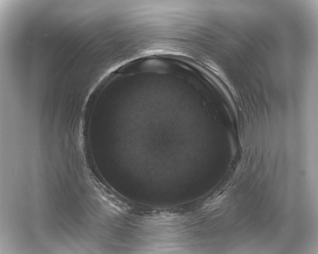 X0000065950387200603101402