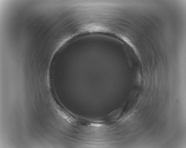 X0000065950391200603101401