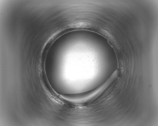 X0000065950392200603101401