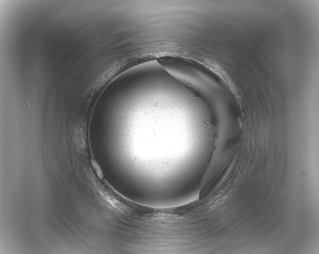 X0000065950393200603101401