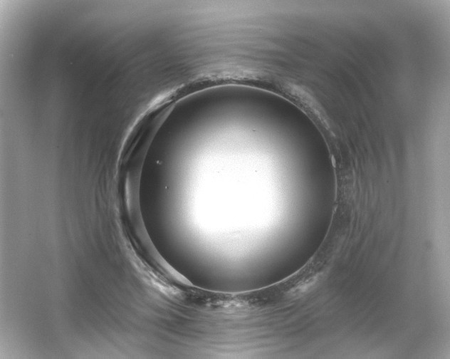 X0000065950395200603101401