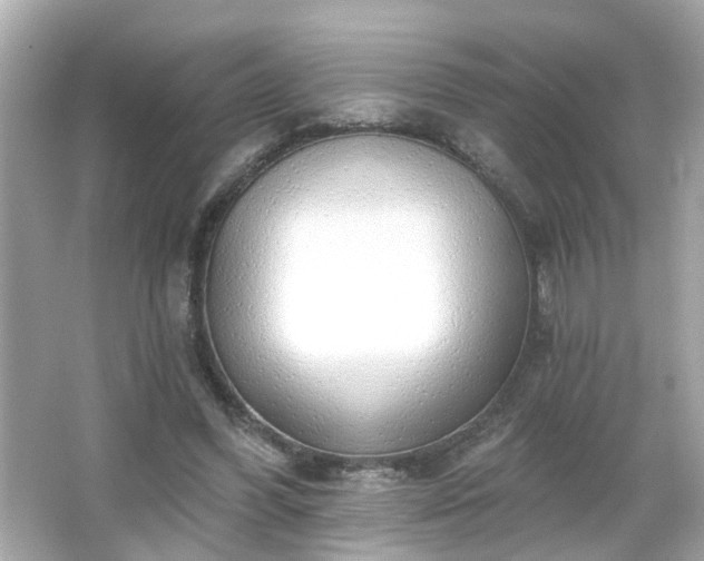 X0000065950396200603101401
