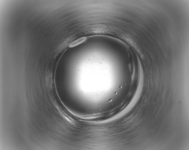 X0000065950397200603101401