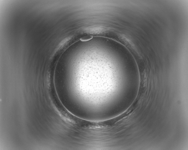 X0000065950400200603101401