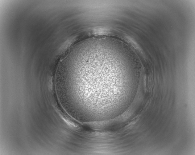 X0000065950401200603101401