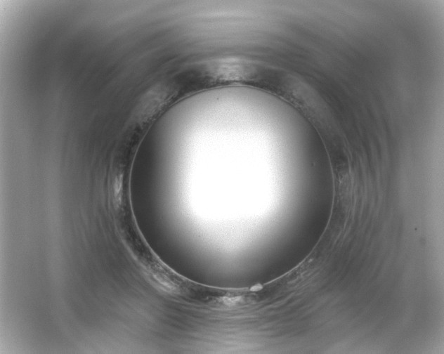 X0000065950406200603101401