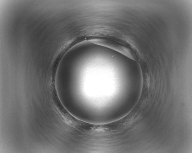 X0000065950407200603101401
