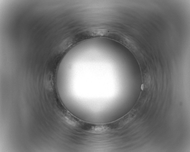 X0000065950414200603101401