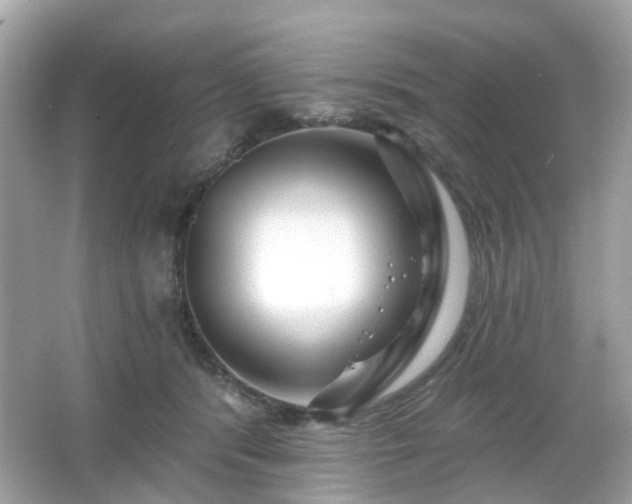 X0000065950416200603101401
